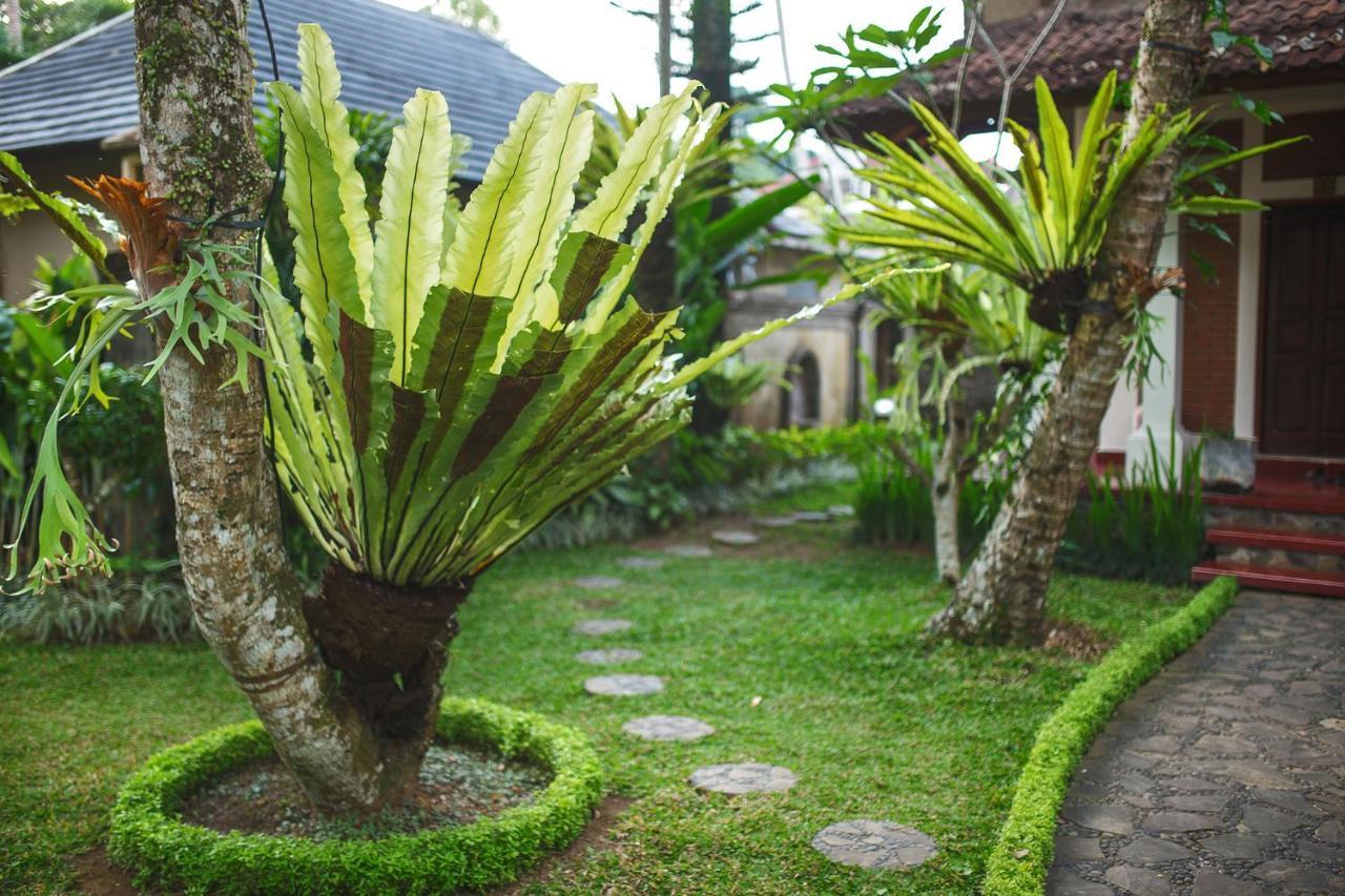 Alas Petulu Villa Resort And Spa Ubud  Luaran gambar